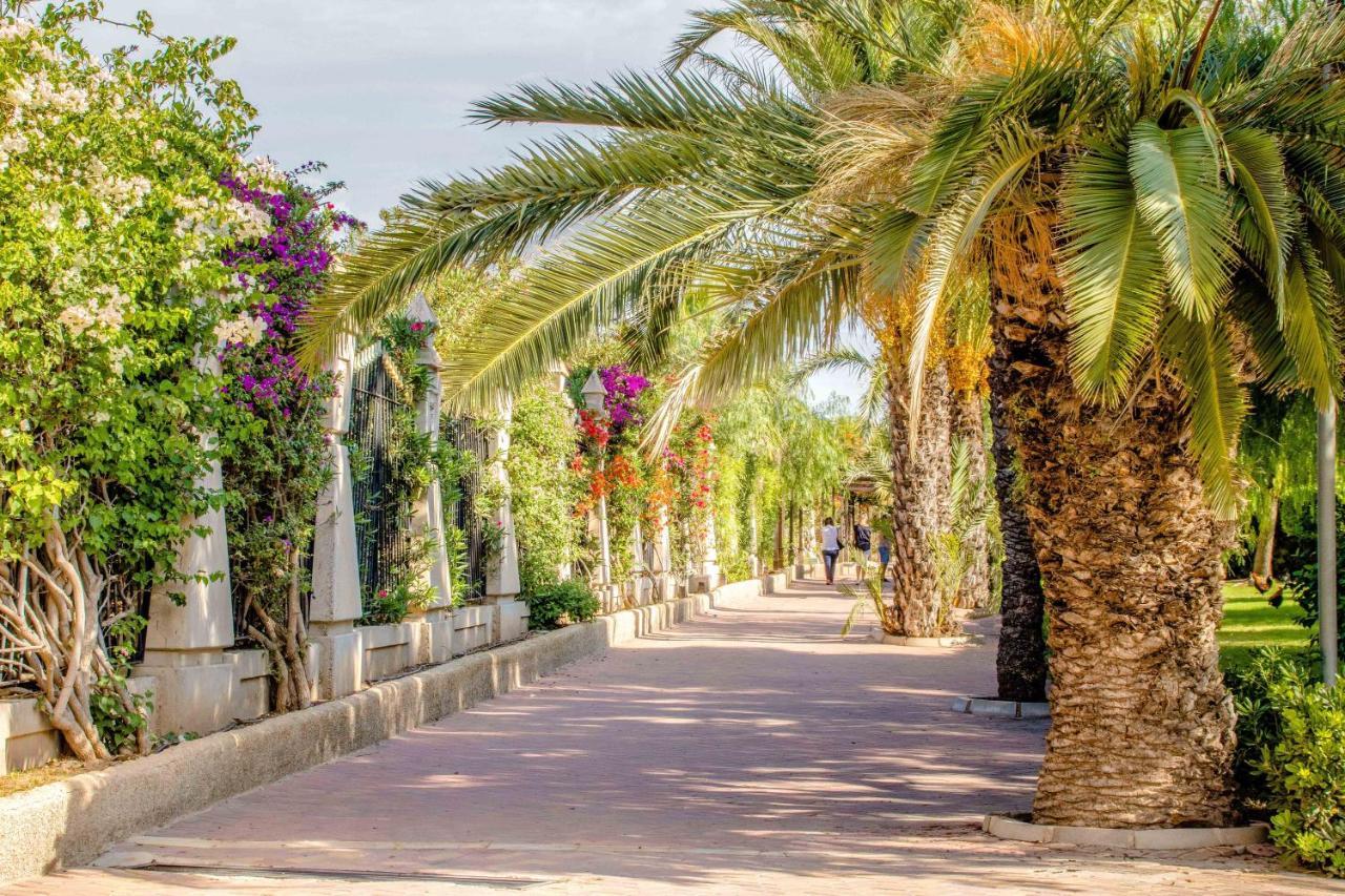 Espanatour San Julian 41 Torrevieja